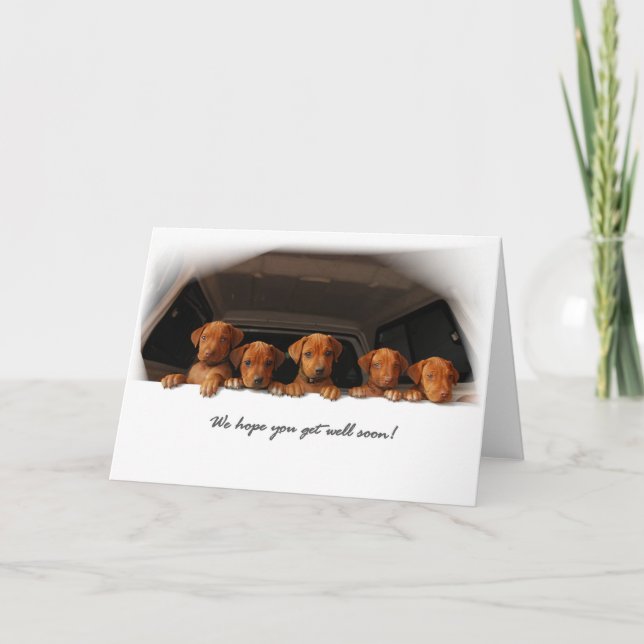 Cartão de Rhodesian Ridgeback - obtenha bem logo (Frente)