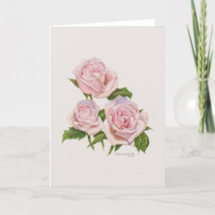 Cartão de Rosas Rosa Pêssego