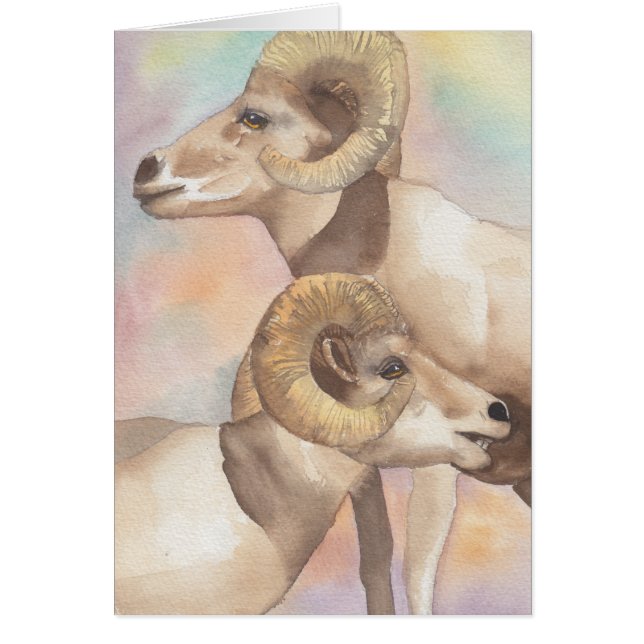 Cartão de Saída "2 Rams Watercolor Sketch/Arrohead (Frente)