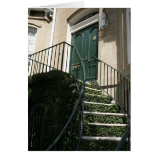 Cartão de Saída Savannah