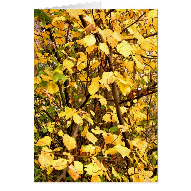 CARTÃO DE SAÍDAS AUTUMN (Frente)