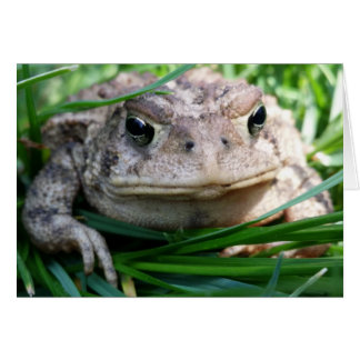 Cartão de sapo personalizável