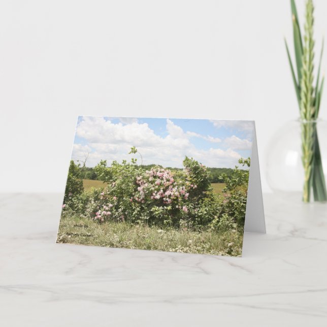 Cartão de Saudação (Frente)