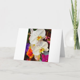 cartão de saudação