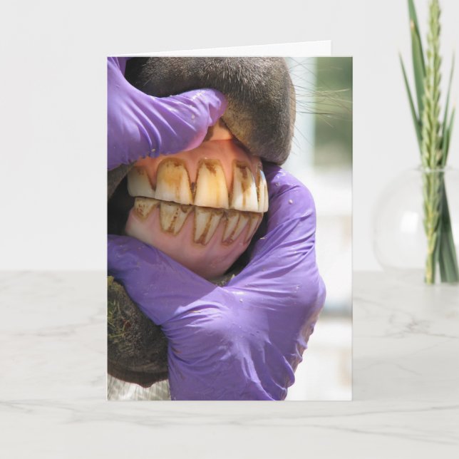 Cartão de Saudação (Frente)