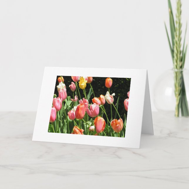 Cartão de Saudação (Frente)