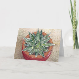 Cartão de Saudação Agave victoriae-reginae Suculto