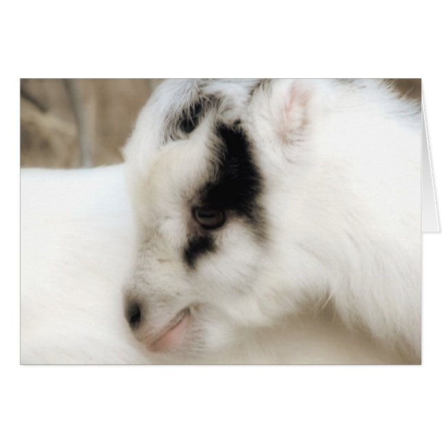 Cartão de Saudação Amigo Goat Kid Todas As Ocasiõe (Frente Horizontal)