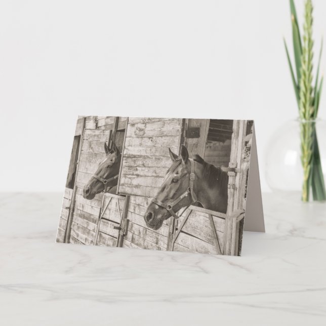 cartão de saudação antigo para cavalos estáveis (Frente)