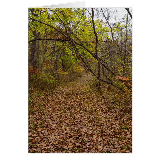 Cartão de Saudação Autumn Walkway (Frente)