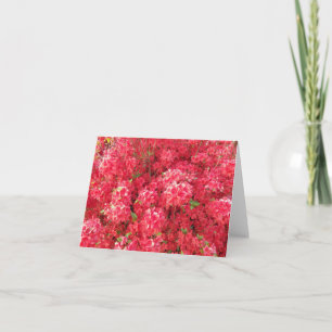Cartão de Saudação Azalea