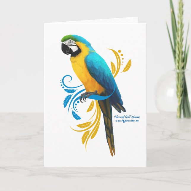 Cartão de Saudação Azul e Dourado para Macaw (Frente)