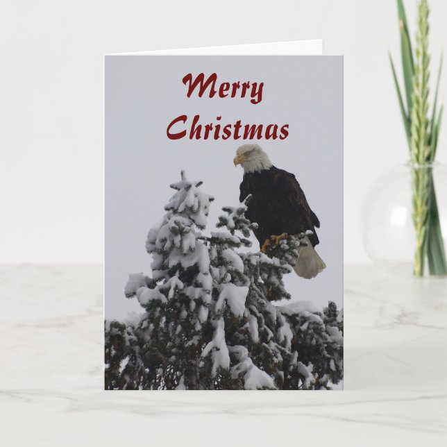 Cartão de Saudação Bald Eagle (Frente)