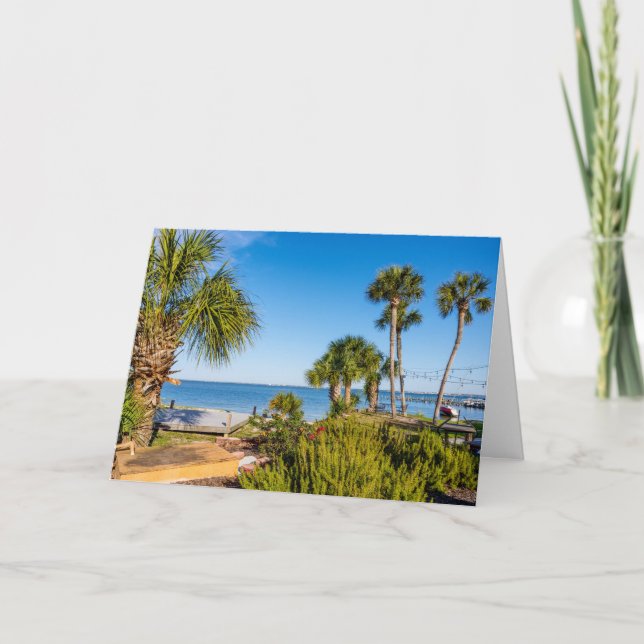 Cartão de Saudação Bayside Morning Palm Trees (Frente)