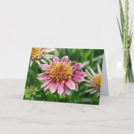 Cartão de Saudação - Beleza do Jardim em Portsmout