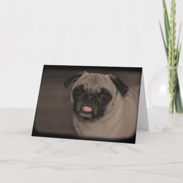 Cartão de Saudação Bella Donna (Frente)