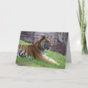 Cartão de Saudação Bengal Tiger