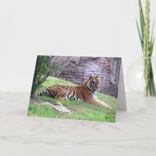 Cartão de Saudação Bengal Tiger