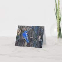 Cartão de Saudação Bluebird