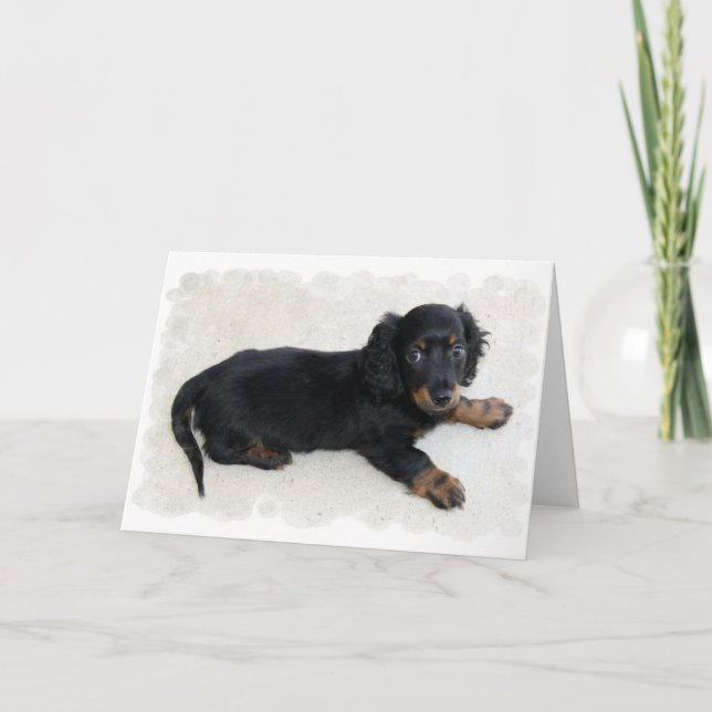 Cartão de Saudação Bonito Daschund (Frente)