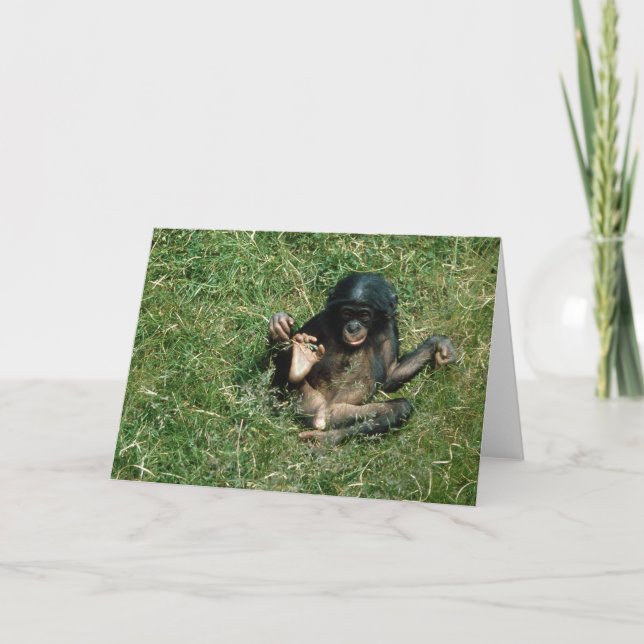 Cartão de Saudação Bonobo Ape, Bebê Muito Bonito (Frente)