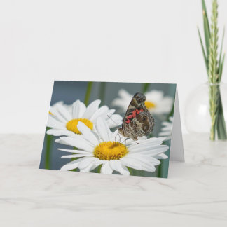 Cartão de saudação - Borboleta numa margarida Shas