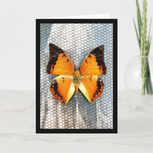 Cartão de Saudação Bordado Preto de Charaxes Butte