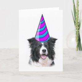 Cartão de Saudação~Border Collie Birthday