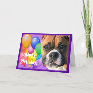 Cartão de saudação Boxer de Aniversário Feliz