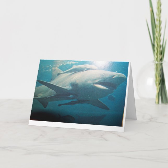 Cartão de saudação Bull Shark (Frente)