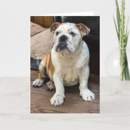 Cartão de saudação Bulldog