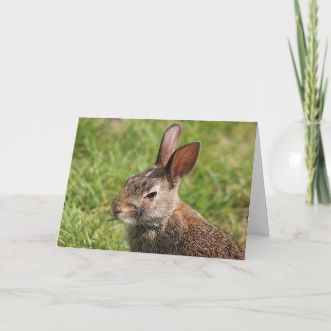Cartão de Saudação Bunny (Frente)