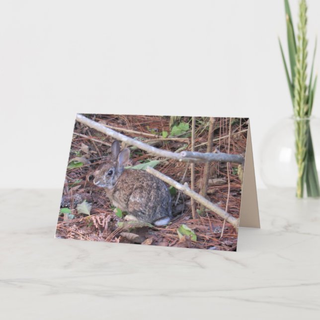 Cartão de Saudação Bunny Rabbit (Frente)
