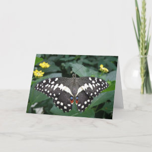 Cartão de Saudação Butterfly