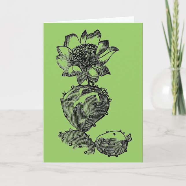 Cartão de Saudação Cactus (Frente)