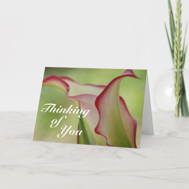 Cartão de Saudação Calla Lily (Frente)