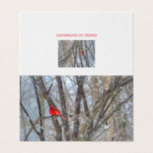 Cartão de saudação Cardinal e Chickadee