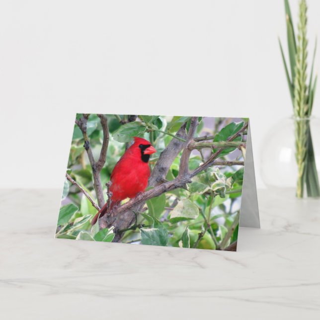 Cartão de Saudação Cardinal Masculino (Frente)