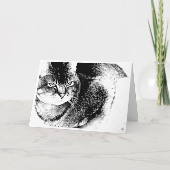 Cartão de Saudação Cat (Frente)