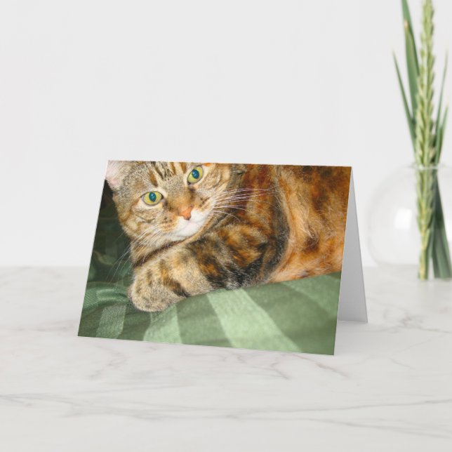 Cartão de Saudação Cat (Frente)