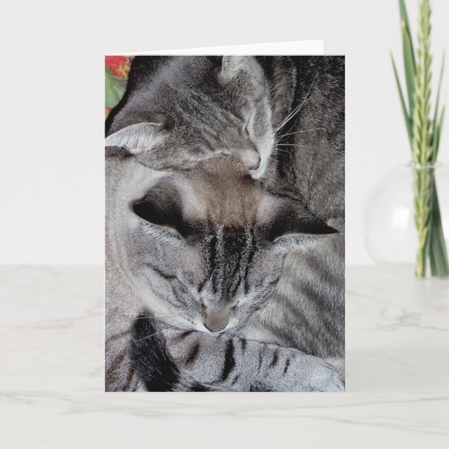 Cartão de saudação "Cat Luv #2" (Frente)