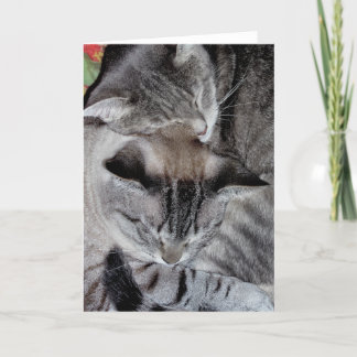 Cartão de saudação "Cat Luv #2"