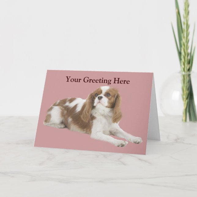 Cartão de Saudação Cavalier King Charles Spaniel (Frente)