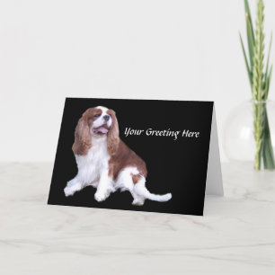 Cartão de Saudação Cavalier King Charles Spaniel