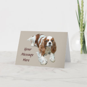 Cartão de Saudação Cavalier King Charles Spaniel