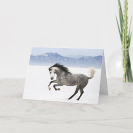 Cartão de Saudação Cavalo Snowy Romp