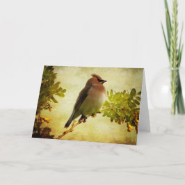 Cartão de Saudação Cedar Waxwing Textuturado