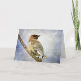 Cartão de Saudação Cedar Waxwing Textuturado