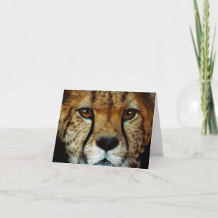 Cartão de saudação CHEETAH ESPÉCIES AMEAÇADAS