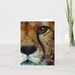 Cartão de saudação CHEETAH ESPÉCIES AMEAÇADAS